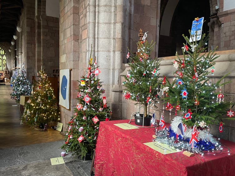 Some of the trees at Crediton Parish Church Christmas Tree Festival. AQ 1514