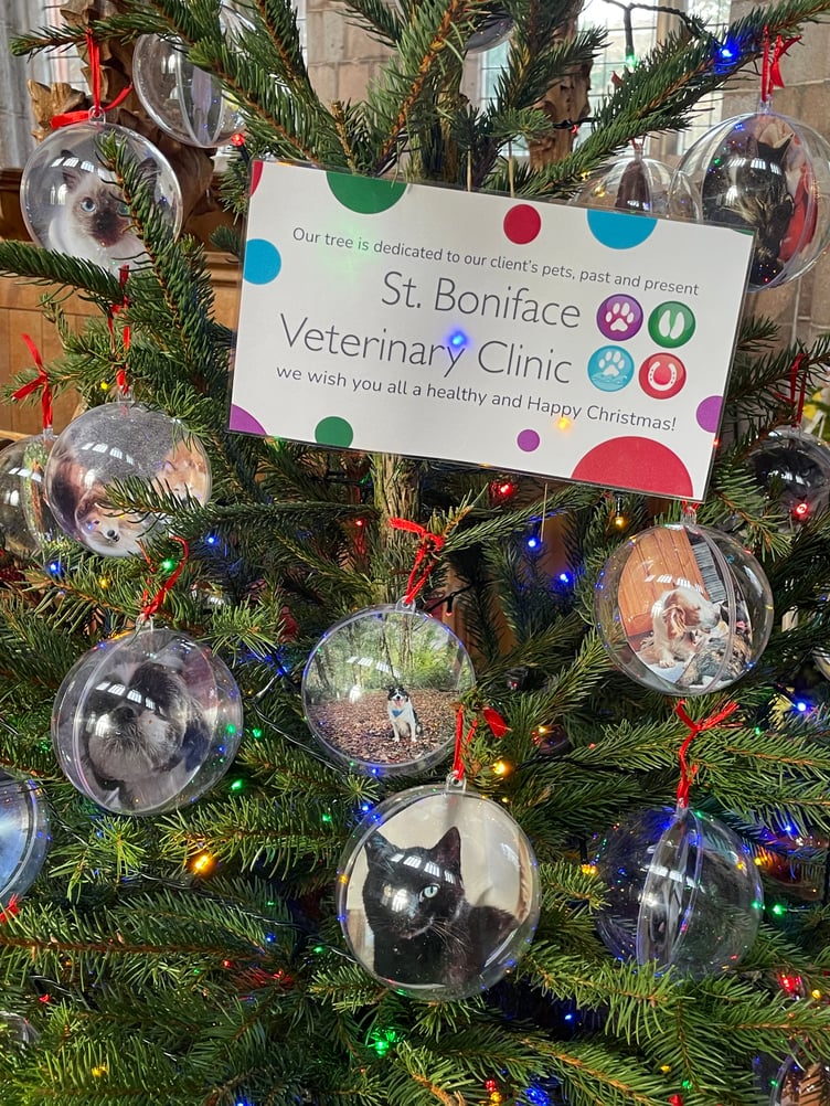 The St Boniface Vets tree featured pictures of local pets. AQ 1492
