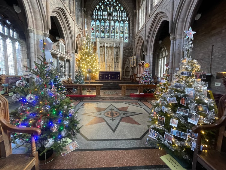 Some of the trees at Crediton Parish Church Christmas Tree Festival. AQ 1500