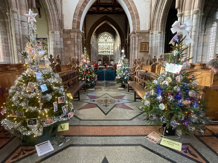 Some of the trees at Crediton Parish Church Christmas Tree Festival. AQ 1482