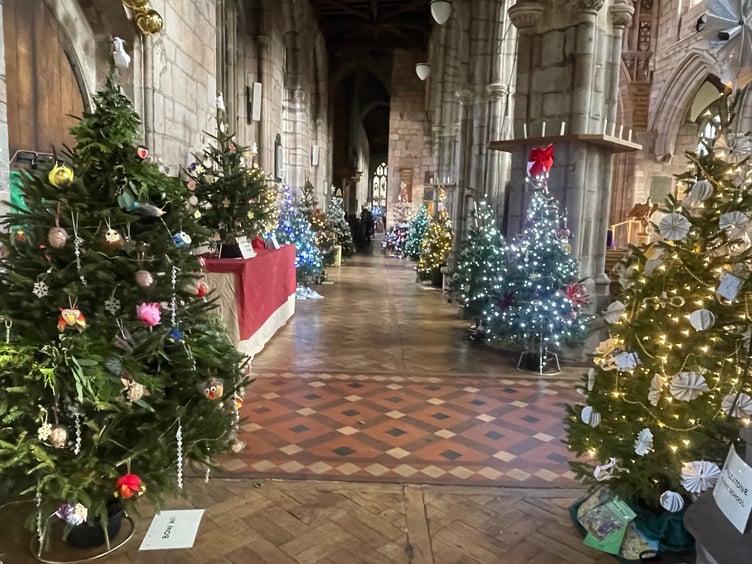 Some of the trees at Crediton Parish Church Christmas Tree Festival. AQ 1457