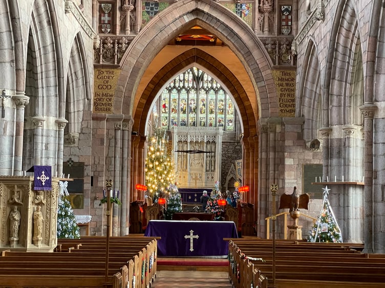 Some of the trees at Crediton Parish Church Christmas Tree Festival. AQ 1622