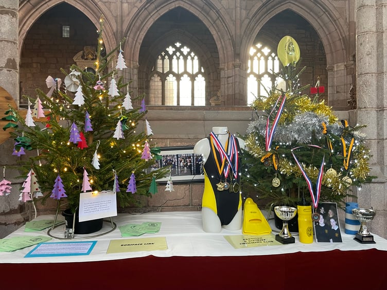 Some of the trees at Crediton Parish Church Christmas Tree Festival. AQ 1480