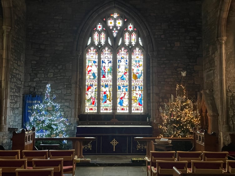 Some of the trees at Crediton Parish Church Christmas Tree Festival. AQ 1509