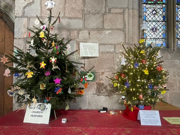 Some of the trees at Crediton Parish Church Christmas Tree Festival. AQ 1459