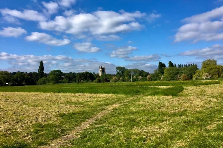 Summer in Bishops Meadows