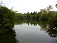 Kings Pond in Alton has enough silt to fill nearly four Olympic pools