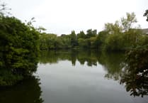 Your letters to the editor: The facts about Kings Pond