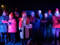Anita Dobson adds star appeal to Elstead's Christmas lights switch-on