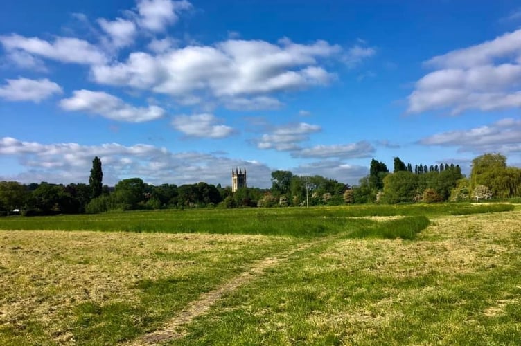 Bishops meadows