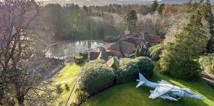 "Magnificent" home for sale comes with a rare jet plane in the garden