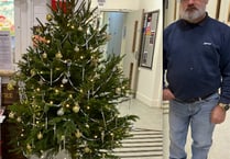 Alton Community Association loves its Christmas tree