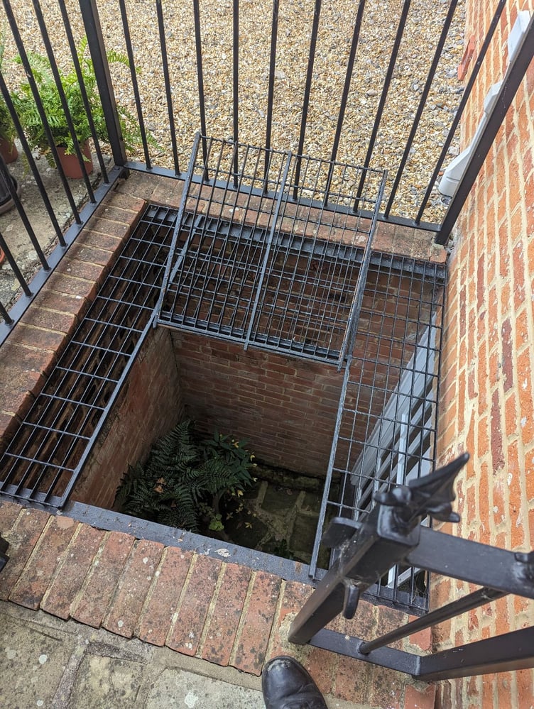 An adder being rescued in Surrey