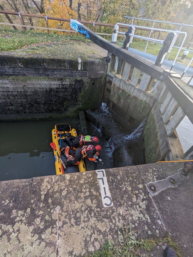 A swan stuck in a canal lock