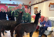 Alpacas visited Crediton care home to treat residents
