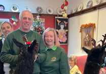 Alpacas visited Crediton care home to treat residents
