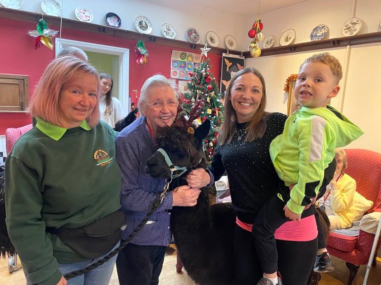 During the alpacas visit to Hillbrow Care Home in Crediton. AQ 2340