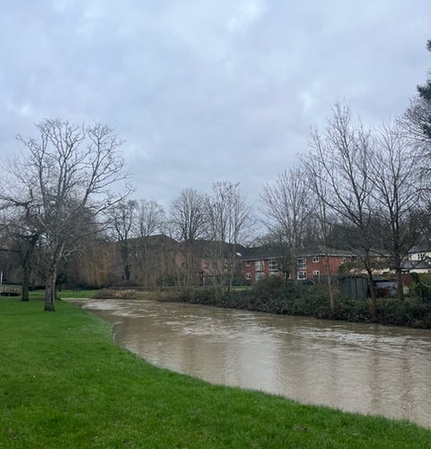 The swollen River Wey at Gostrey Meadow, Farnham
