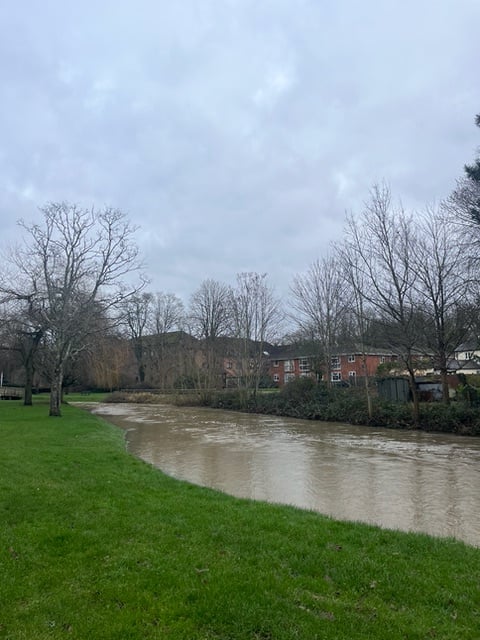<p>The River Wey at Gostrey Meadow, Farnham (Alex Thurston)</p>