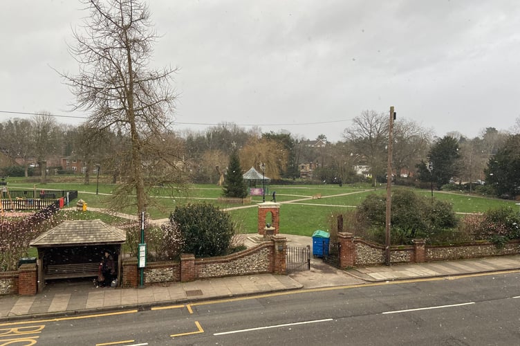 Snow falls on Gostrey Meadow in Farnham on Monday, January 8