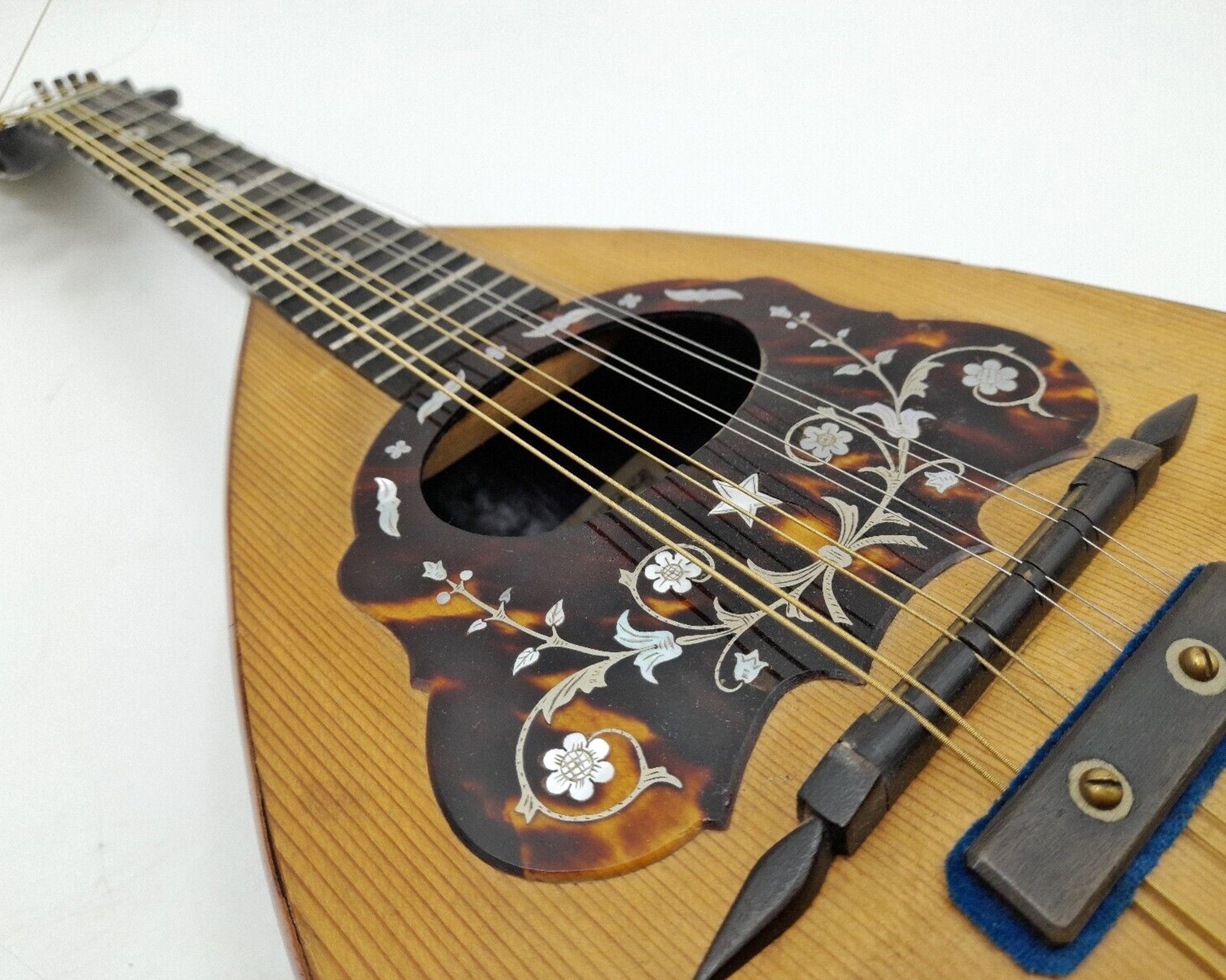 People have donated rare items, like this mandolin from the 1900s, to the Ebay hub. Photo: Cats Protection.
