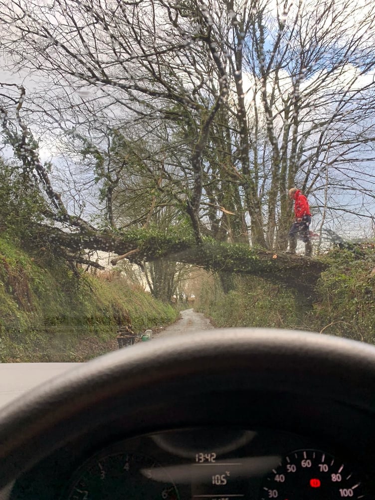 A tree was blown over into the road near Stoke Climsland
