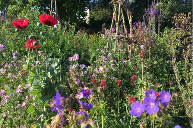 Gilbert White's Garden made RHS 'Partner Garden' in coup for Selborne