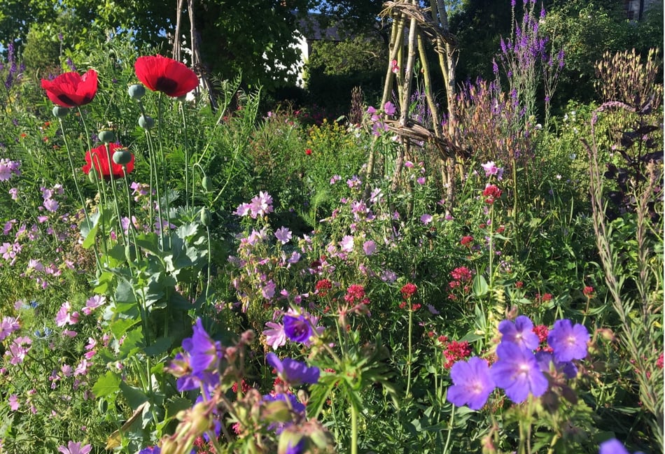 <p>The Royal Horticultural Society has made Gilbert White’s patch in Selborne a ‘partner garden’</p>