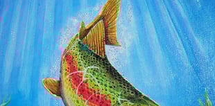 Exhibition by Alton Art Society Thursday Paint Group at Allen Gallery