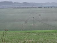 Hare coursers on the prowl as vehicle seized in Liphook