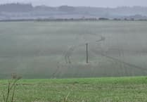 Hare coursers on the prowl near Alton as vehicle seized in Liphook