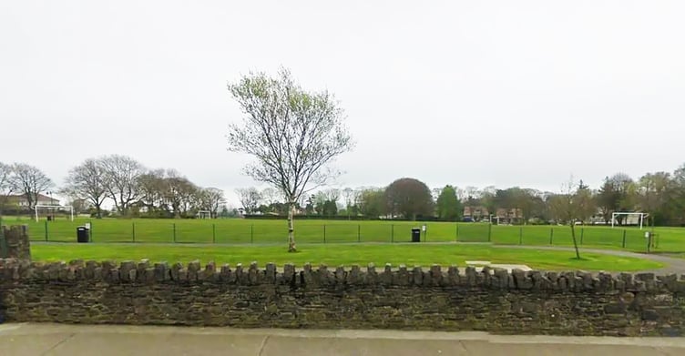 Noble's Park football pitch
