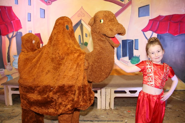 The camel and his young handler. AQ 3361