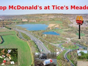 Campaigners score supersized victory over McDonald’s plan