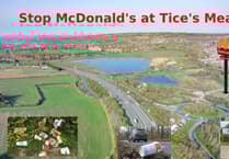 McDonald's revives nature reserve drive-through plan