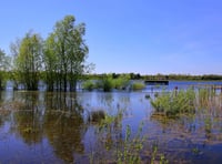 Volunteering opportunities at wildlife reserve