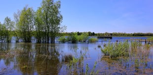 Plans for McDonald's near nature reserve rejected