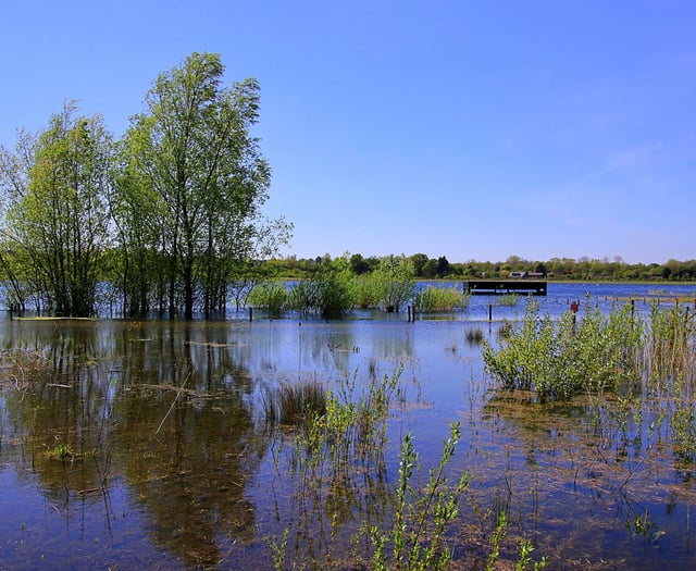 Plans for McDonald's near nature reserve rejected