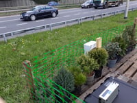 Surprise findings of University of Surrey study breaks pollution myth