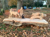 <p>The new bench at Frensham’s Hollowdene recreation ground features a squirrel, a deer, an owl, a badger and a fox</p>