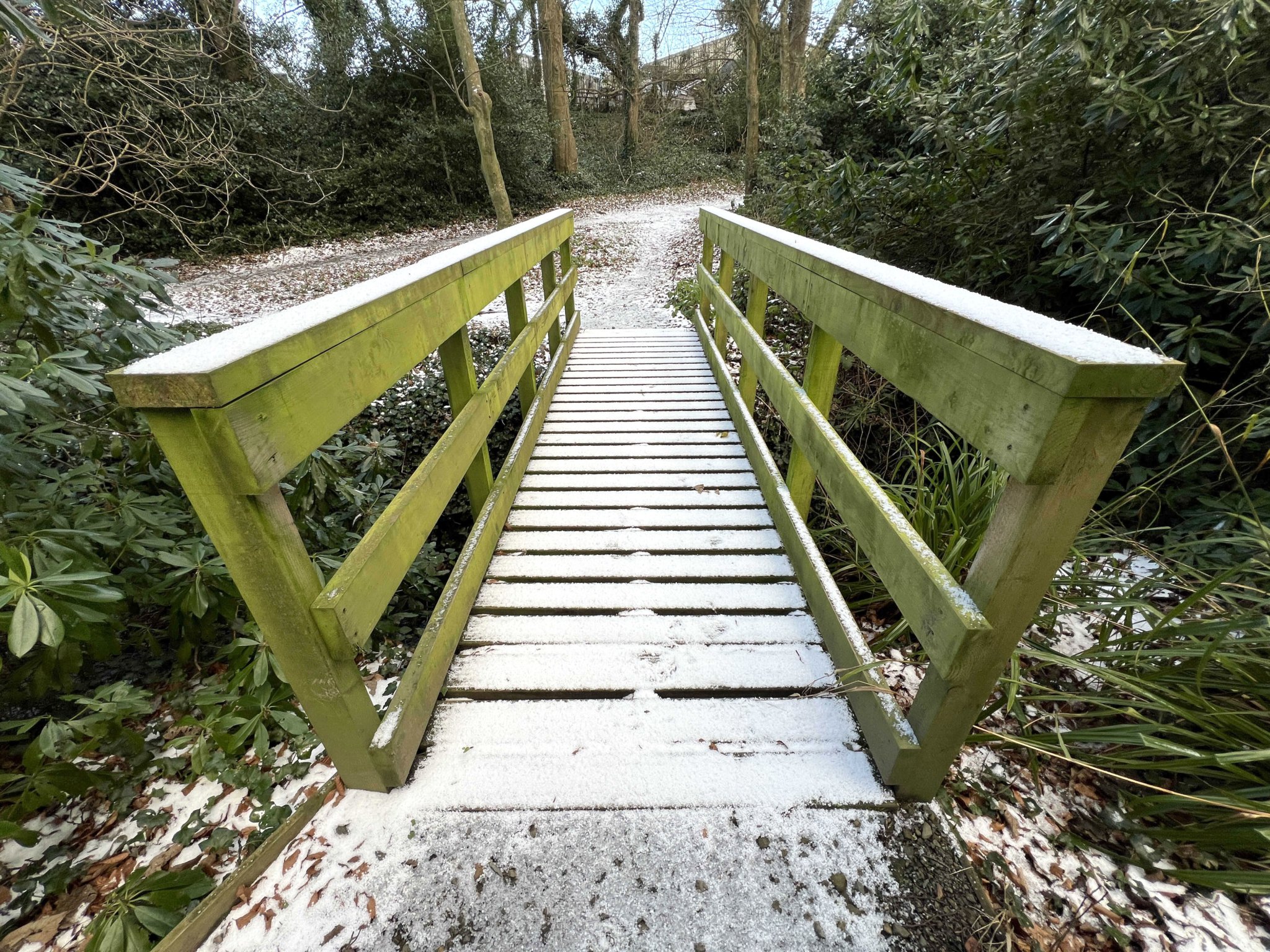 A dusting of snow in Bishopscourt glen