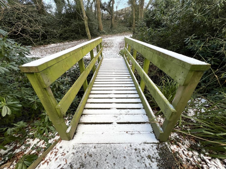 A dusting of snow in Bishopscourt glen