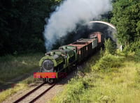 <p>The AD 196 pictured in Belgium decades after leaving Hampshire</p>