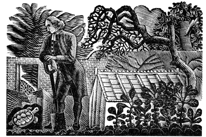 Eric Ravilious, The Tortoise in the Kitchen Garden from ‘The Writings of Gilbert White of Selborne’, ed., H.J.Massingham, London, The Nonsuch Press, 1938