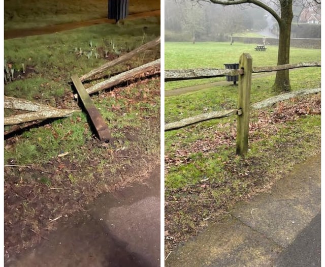 Haslemere council declares zero tolerance for vandalism at Town Meadow