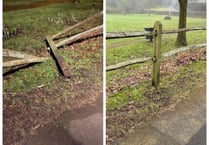 Haslemere council declares zero tolerance for vandalism at Town Meadow