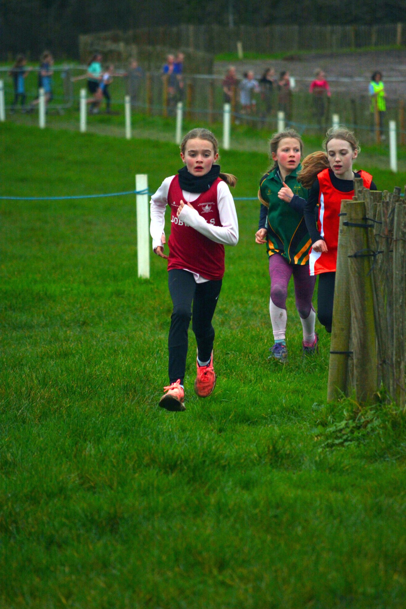 Year 5 and 6 girls race