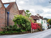 Haslemere museum to host The Twitchers half-term family wildlife trail