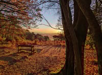 <p>This incredible photo of a Black Down winter sunrise by Richard Walker-Liew has won first prize in this year's Black Down and Hindhead National Trust Photography Competition</p>
