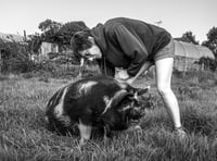 <p>Teresa the farmer and Mouse the pig – just one of a selection of portraits of contemporary farming life by Sian Tyrell going on display at the Rural Life Living Museum next month</p>